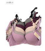Padded Multi-Colour Bra - Image 3